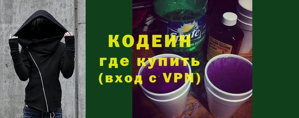 шишки Богородицк